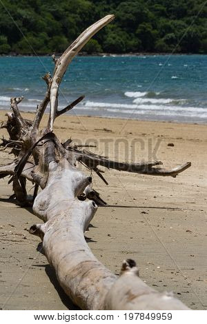 Nacascolo Beach, Costa Rica
