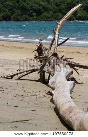 Nacascolo Beach, Costa Rica