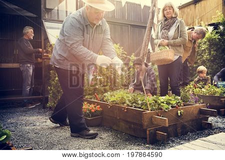 Group of people planting vegetable in greenhouse