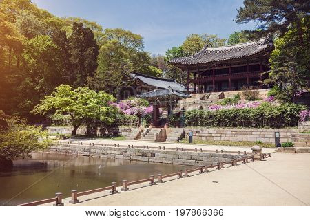 Buyeongji pond at the Huwon park, Secret Garden, Changdeokgung palace, Seoul, Korea
