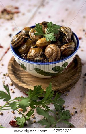 a ceramic bowl with spanish caracoles en salsa, cooked snails in sauce, on a rustic wooden table
