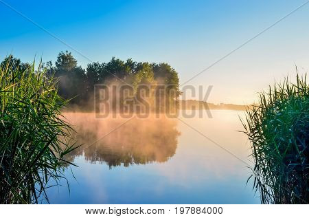 Summer morning landscape. Islet with trees on the lake.