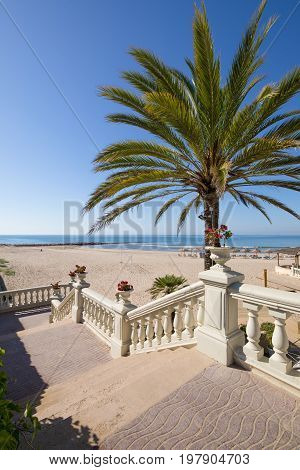 Access To Benicassim Beach With Palm Tree And Stairs Vertical
