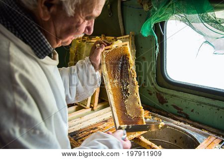 The beekeeper separates the wax from the honeycomb frame. A special knife for separating the wax from the frame with honey