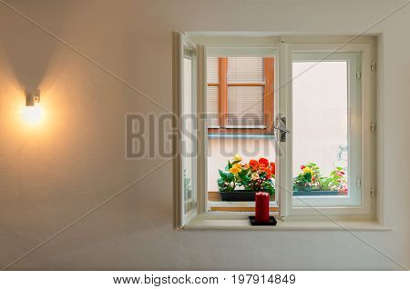 Nice window with flowers and lighting bulb