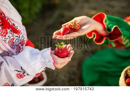 Closeup of woman's hands holding basket with organic garden summer strawberry berries. Healthy lifestyle and healthy eating. Vegetarian snack.Fruit and berries.