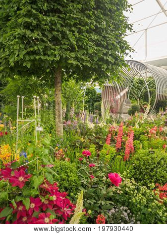 LONDON UK - MAY 25 2017: RHS Chelsea Flower Show 2017. The world's most prestigious flower show displaying the best in garden design.