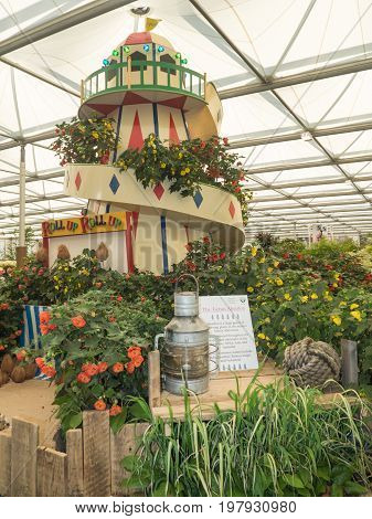 LONDON UK - MAY 25 2017: RHS Chelsea Flower Show 2017. Abutilons on display in the Great Pavillion.