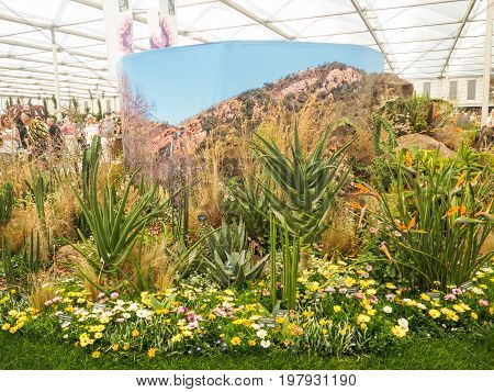 LONDON UK - MAY 25 2017: RHS Chelsea Flower Show 2017. Tropical plants display.