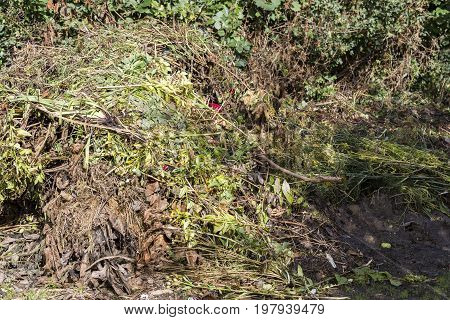 Fresh bio-waste and compost in the garden France