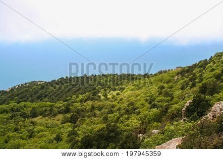 The Vicinities Of The Mangush Plateau