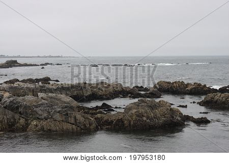 This is an image of volcanic rocks taken at low tide at Asilomar
State Beach in Pacific Grove, California.