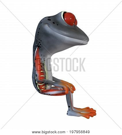 3d illustration of a gray cartoon tree frog.