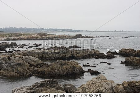 This is an image of Asilomar State Beach taken at low tide
on an overcast day in Pacific Grove, California.