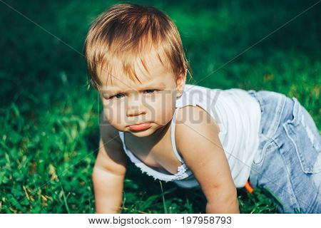 Funny serious baby looking in the camera on green grass