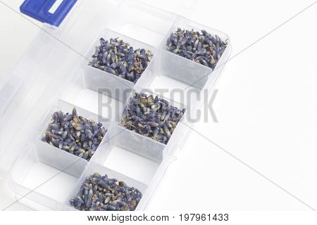 Dried Flowers Of Lavender. The Cells Of The Container Are Filled With Dried Lavender Inflorescences