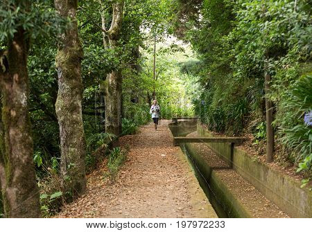 MADEIRA PORTUGAL - SEPTEMBER 5 2016:Levada do Norte near Boca da Encumeada on Madeira Island. Portugal