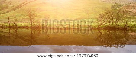 Trees reflecting on the river Orchy, Glen Orchy, Scotland, United Kingdom