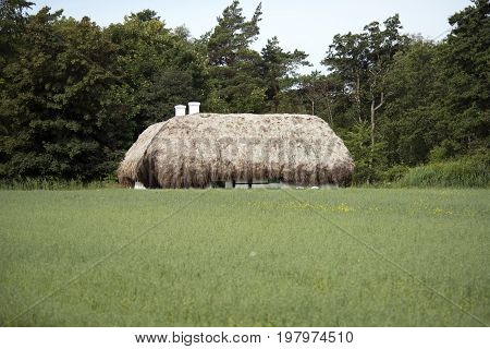 LAESOE DENMARK - JULY 28 2017: Seaweed roof house called Hedvigs House Laesoe 2017