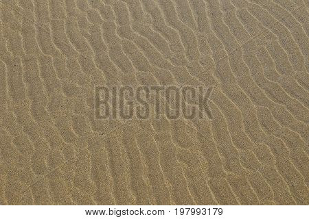 Ripple marks on a sandy beach in Brittany France