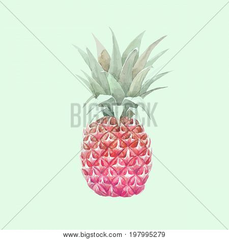Beautiful vector illustration with hand drawn watercolor pineapple fruit on transparent background