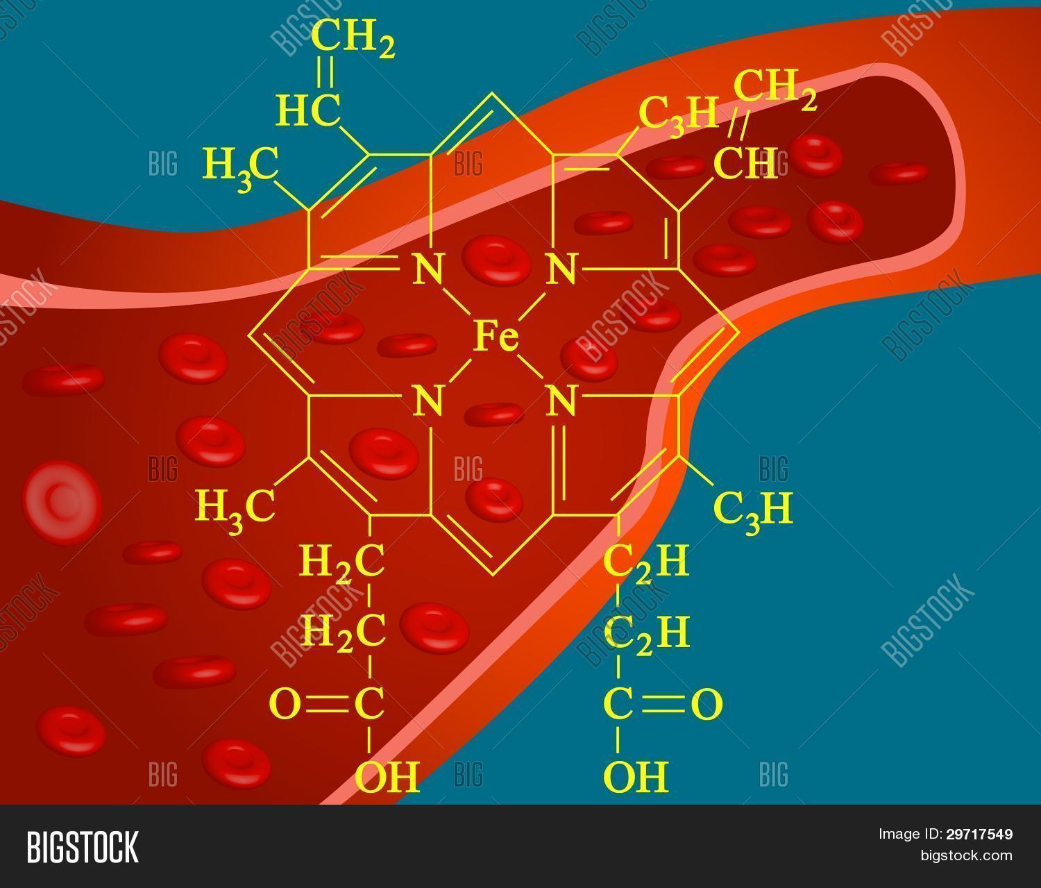 Simple Heme Heme Structure Image & Photo (Free Trial) | Bigstock