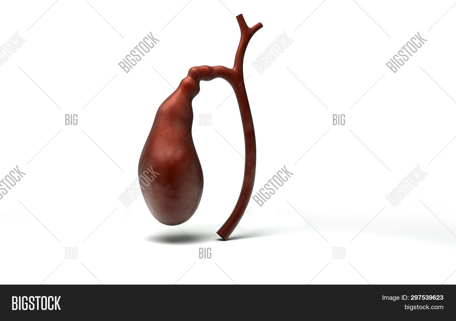 бык и рачок. рак бык 2024. год красного огненного быка. Cancer знак зодиака в стиле скелета. знак зодиака весы год быка.