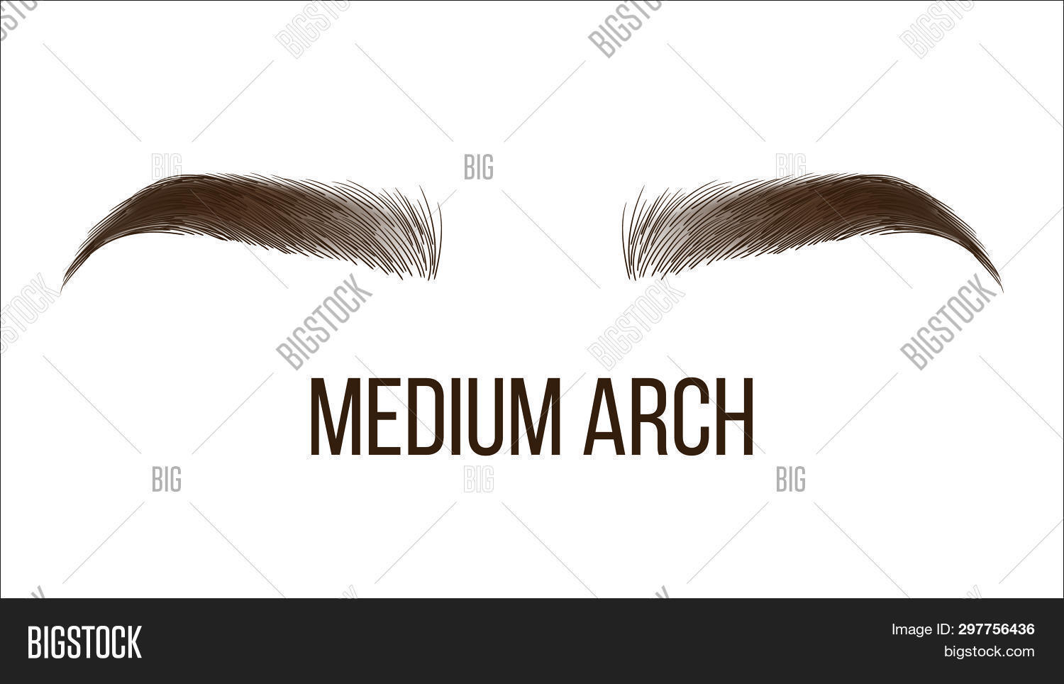 Medium Arch Brows Image Photo Free Trial Bigstock