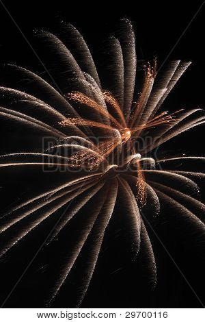 Fireworks In The Night