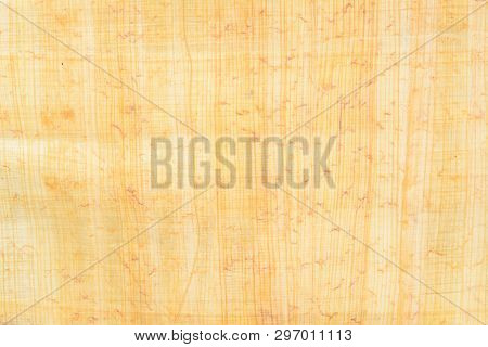 Real Egypt Papyrus Paper Background And Texture Number 15. Close Up Macro.