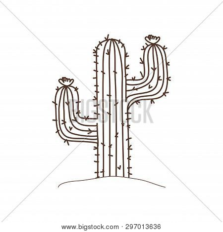 Cactus In Landscape Isolated Icon Vector Illustration Design