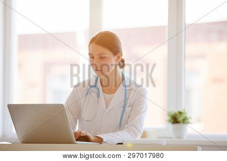 Portrait Of Young Female Doctor Looking At Laptop Screen While Working In Office Lit By Warm Sunligh
