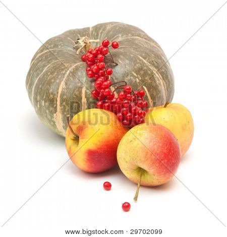 zucca verde, mele gustose e arrowwood rosso
