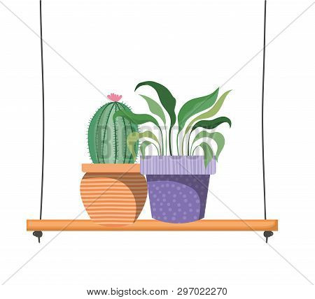 Houseplants With Potted On Shelf Isolated Icon Vector Illustration Design