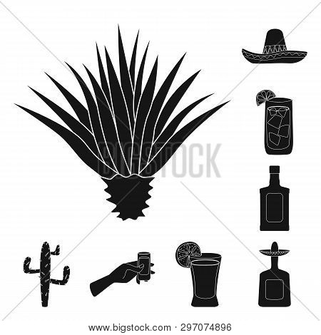 Vector Design Of Carnival And National Symbol. Set Of Carnival And Tequila Vector Icon For Stock.