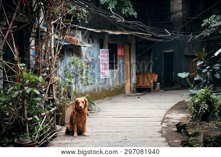 CHONGQING, CHINA â MARCH 13: Xiahao Old street with buildings on March 13, 2018 in Chongqing. With 17M population, it is the most populous Chinese municipality.