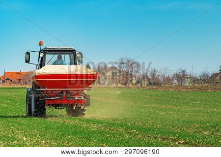 Unrecognizable Farmer In Agricultural Tractor Is Fertilizing Wheat Crop Field With Npk Fertilizer Nu