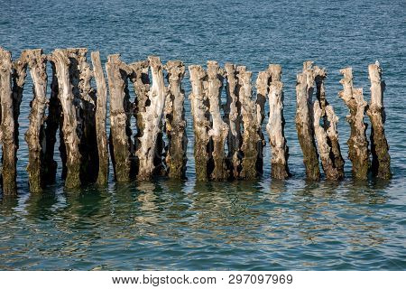 Big Breakwater, 3000 Trunks To Defend The City From The Tides, Plage De L Eventail Beach In Saint-ma
