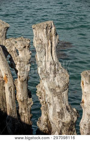 Big Breakwater, 3000 Trunks To Defend The City From The Tides, Plage De L Eventail Beach In Saint-ma