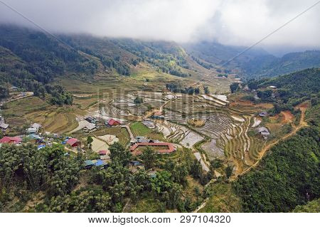 Beautiful Of Growing Golden Paddy Rice Field On Terraced With Rice Terrace On Hill In Background At 