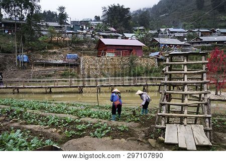 Two Women Are Working In The Garden In Catcat Village, Vietnam. Rural Life Of The Vietnamese Hinterl