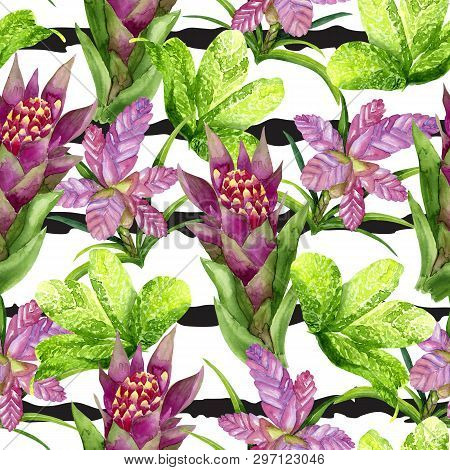 Hand Drawn Seamless Pattern With Tropical Plants Tillandsia Cyanea, Bromeliaceae And Aglaonema On Bl