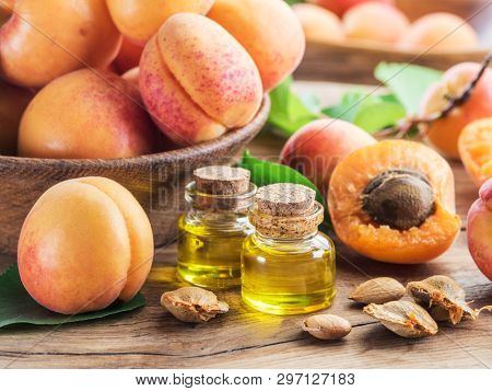 Apricot kernel oil and apricot kernels on wooden background.