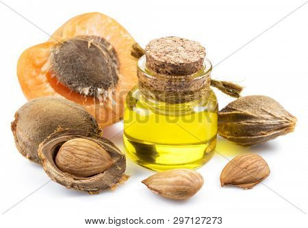 Apricot kernel oil and apricot kernels isolated on the white background.