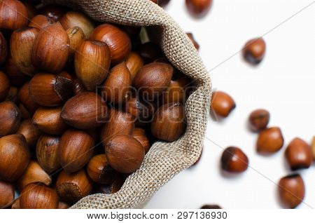 Hazelnuts, Filbert In Burlap Sack On White Background.. Heap Or Stack Of Hazelnuts. Hazelnut Backgro