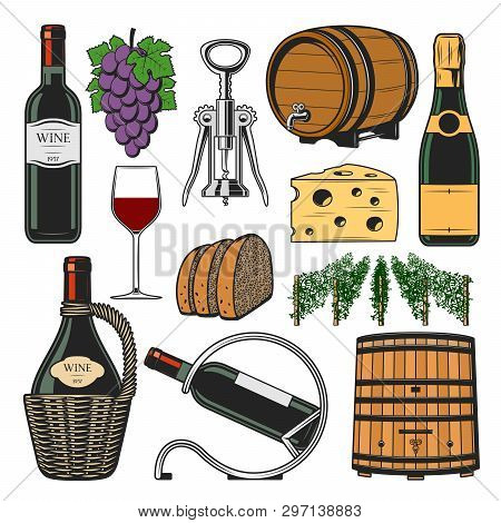 Winemaking And Winery Icons. Vector Red And White Sparkling Wine Accessories, Champagne Bottle In Ho