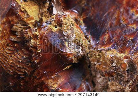 Wooden Opalite Mineral Texture