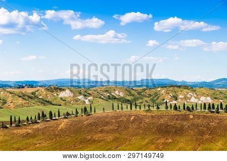 Road And Cypresses On A Hill Near Asciano In Crete Senesi, Tuscany, Italy
