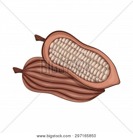 Isolated Object Of Seed And Chocolate Logo. Set Of Seed And Farm  Vector Icon For Stock.