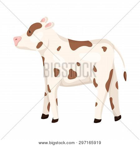 Vector Illustration Of Cow And Heifer Symbol. Collection Of Cow And Milk Stock Symbol For Web.